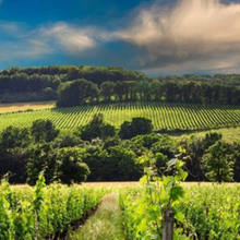 Load image into Gallery viewer, Château Duhart-Milon