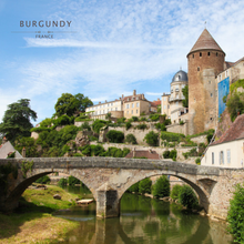 Load image into Gallery viewer, Domaine Faiveley Nuits-Saint-Georges 1er Cru "Les Porets St-Georges"