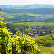 Load image into Gallery viewer, Domaine Faiveley Clos De Vougeot Grand Cru