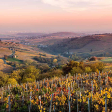 Load image into Gallery viewer, Domaine Faiveley Charmes Echezeaux Grand Cru "En Orveaux"