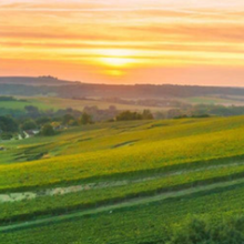 Load image into Gallery viewer, Domaine Faiveley Clos De Vougeot Grand Cru