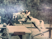 Load image into Gallery viewer, 2019 Great Winner Cabernet Shiraz