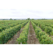 Load image into Gallery viewer, Chateau de Beauregard Cremant de Loire,Sparkling Wine