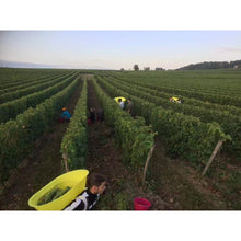 Load image into Gallery viewer, Chateau de Beauregard Cremant de Loire,Sparkling Wine